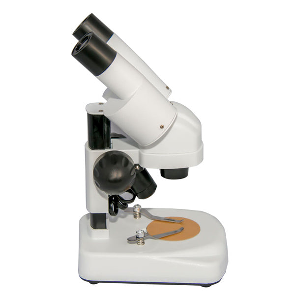Microscopio Binocular Esteroscopio
