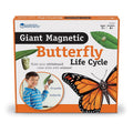 El Ciclo de Vida de la Mariposa - Magnético Para Pizarra