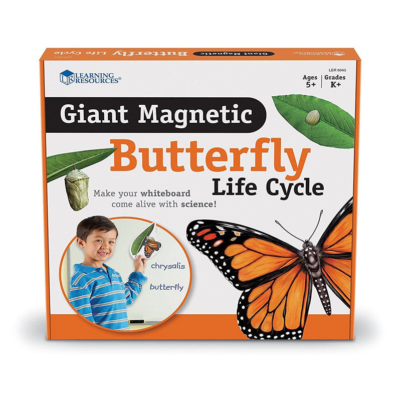 El Ciclo de Vida de la Mariposa - Magnético Para Pizarra