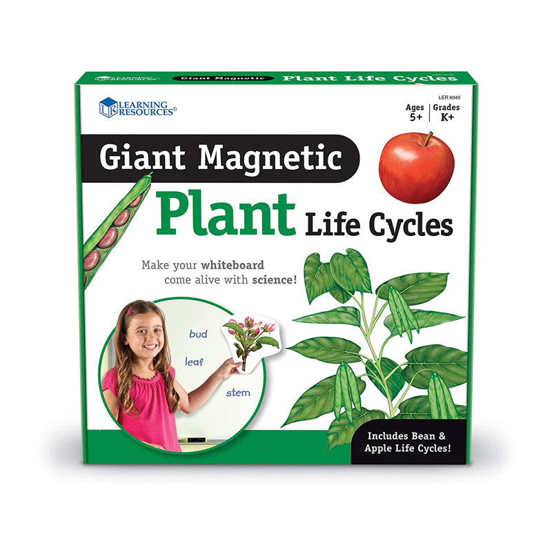 El Ciclo de Vida de las Plantas  - Magnético Para Pizarra