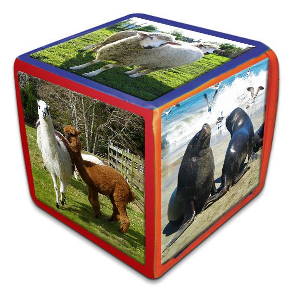 Cubo Intercultural Fauna