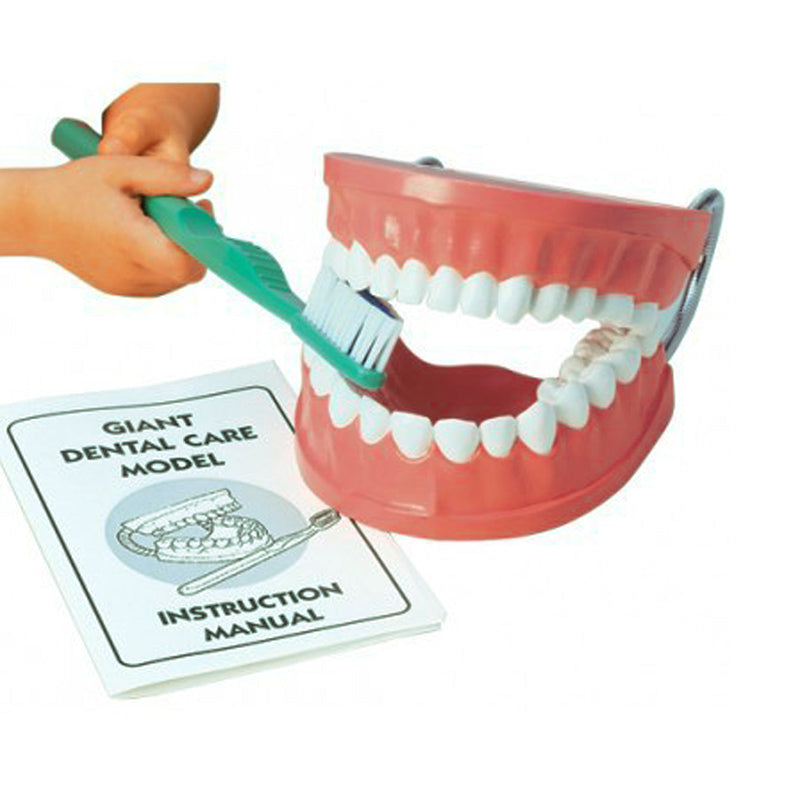 Dentadura + Cepillo