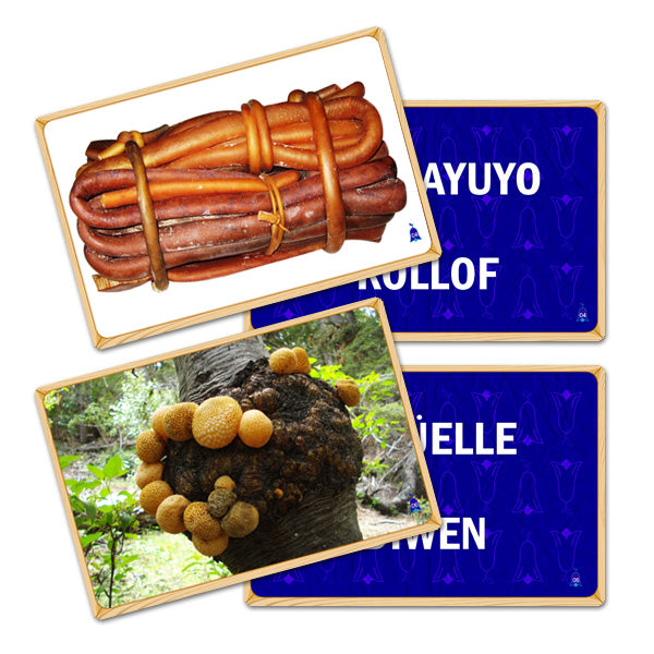 Flash Card Alimentos Tradicionales (Letrado Mapudungun)