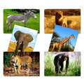 Flash Card Animales Salvajes