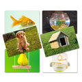Flash Card Asociación Animales y su Casa