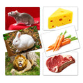 Flash Card Asociación Animales y sus Alimentos