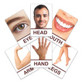 Flash Card Body Parts