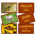 Flash Card Fauna Lengua Huilliche