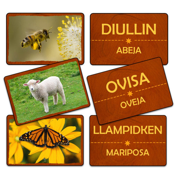 Flash Card Fauna Lengua Huilliche