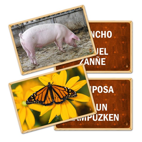 Flash Card Fauna Mapuche (Letrado Mapudungun)