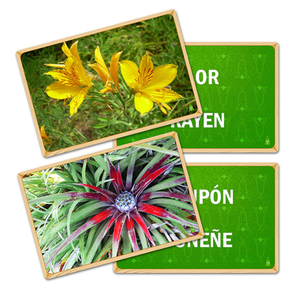 Flash Card Flora Mapuche (Letrado Mapudungun)
