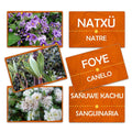 Flash Card Plantas Medicinales Lengua Huilliche
