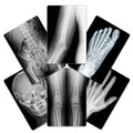 Flash Card Radiografía Cuerpo Humano