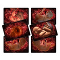 Flash Card Secuencia Embarazo