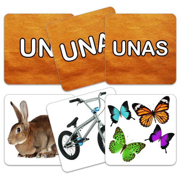 Flash Card Singular - Plural