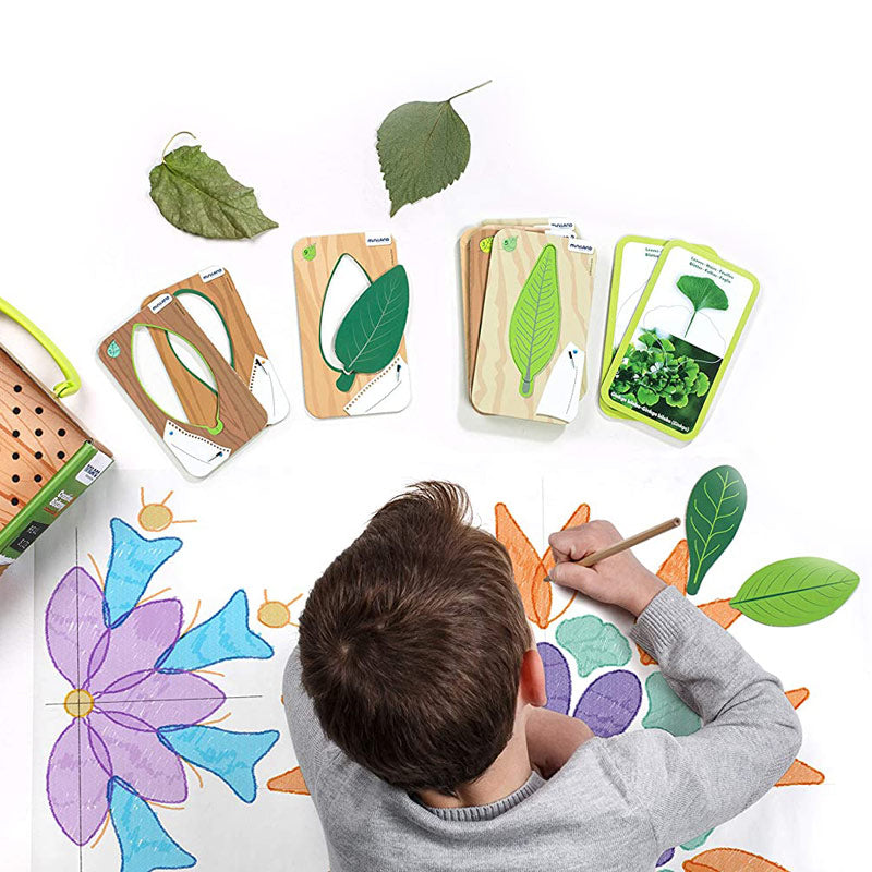 Juego Iniciación a la Botánica