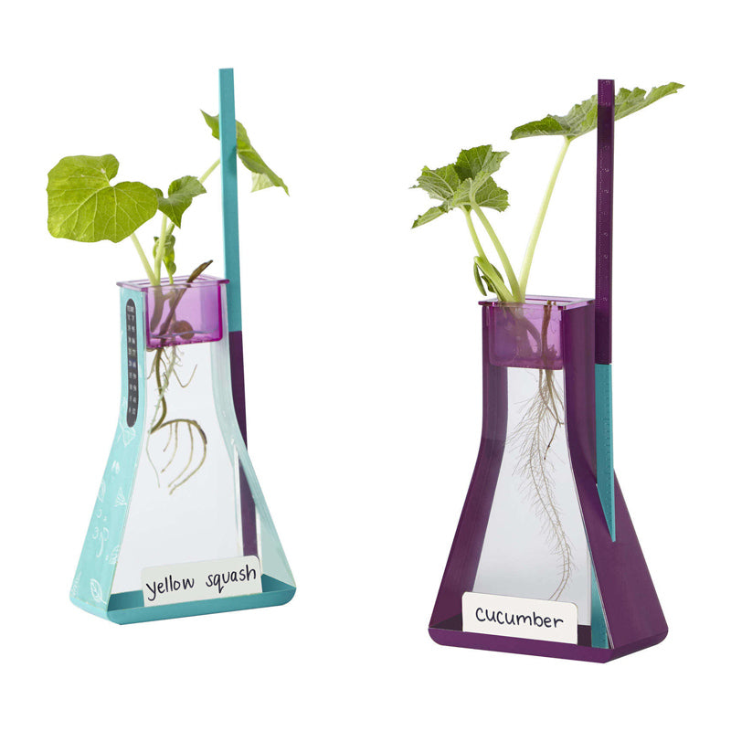 Kit Hidropónico - Crecimiento de Plantas