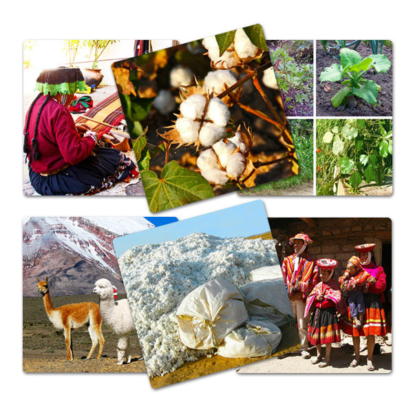 Láminas de Arte Textil Quechua