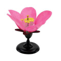 Maqueta de Flor Melocotón