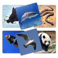 Memorice Animales en su Habitat