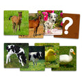 Memorice de Asociación Animales y Sus Crías