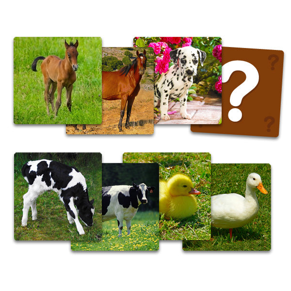 Memorice de Asociación Animales y Sus Crías