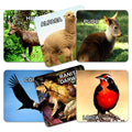 Memorice Fauna Chilena