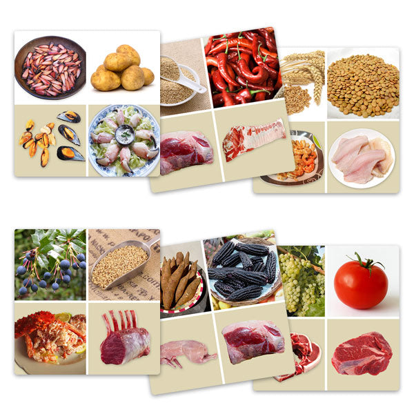 Set de Láminas Alimentos Tradicionales Pueblos Originarios
